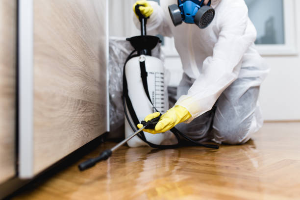 Best Mosquito Control Services  in The Homesteads, TX