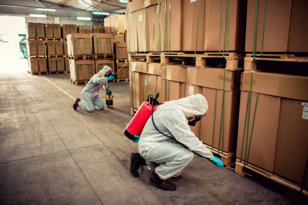 Best Residential Pest Control  in The Homesteads, TX