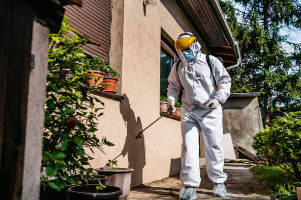 Pest Control Cost in The Homesteads, TX