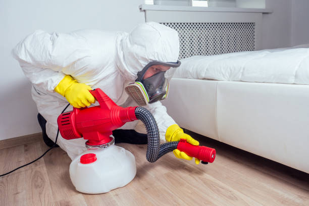 Best Affordable Pest Control Services  in The Homesteads, TX
