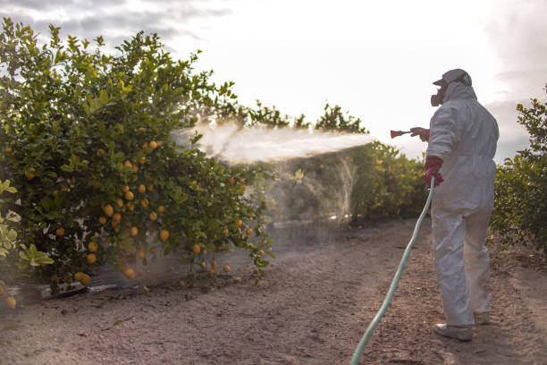 Best Pest Inspection Near Me  in The Homesteads, TX