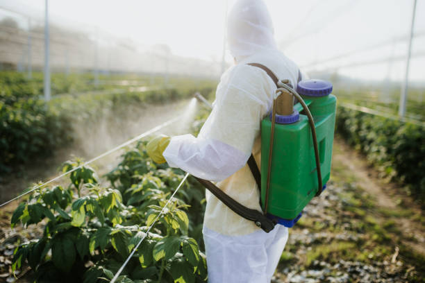 Trusted The Homesteads, TX Pest Control Experts